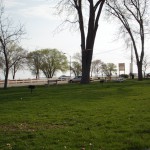 file00028x6.jpg