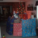 Christmas Presents under the Himmel Tree