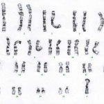 Karotype by Can H.