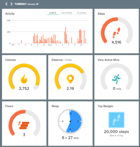 Fitbit Force Statistics for January 28, 2014